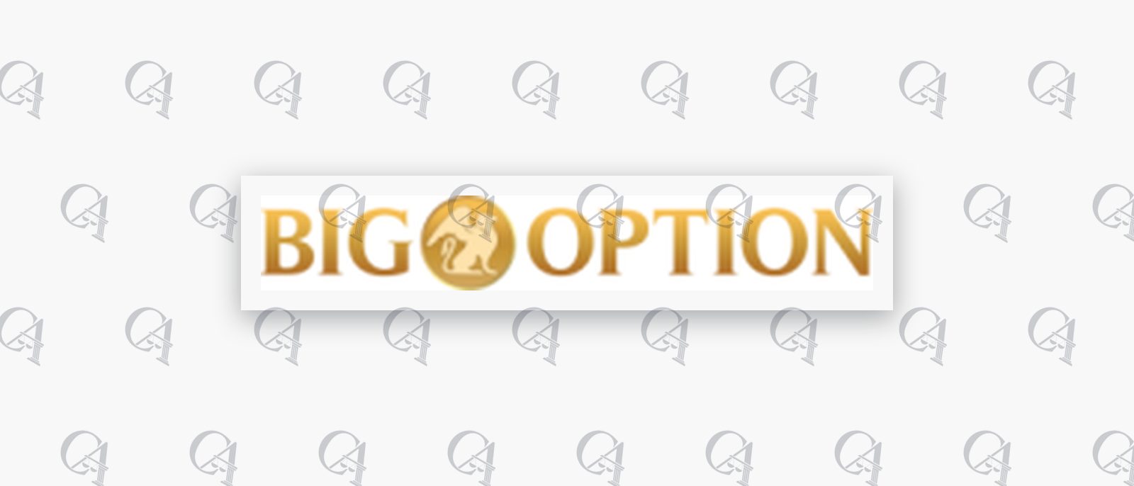 Logo BigOption